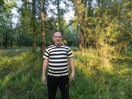  ,   , 71 ,   