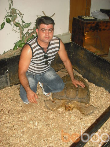  ,   Suren, 48 ,   ,   , c 