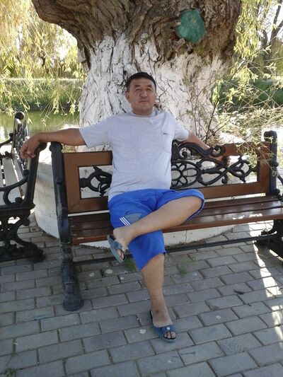  ,   Aslan, 44 ,   