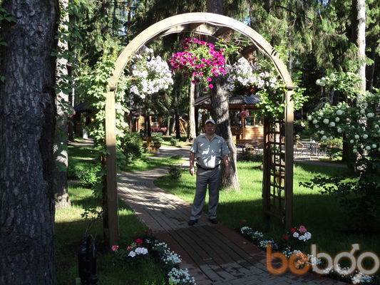  ,   Viking, 65 ,   