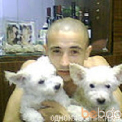  ,   37360176416, 41 ,   