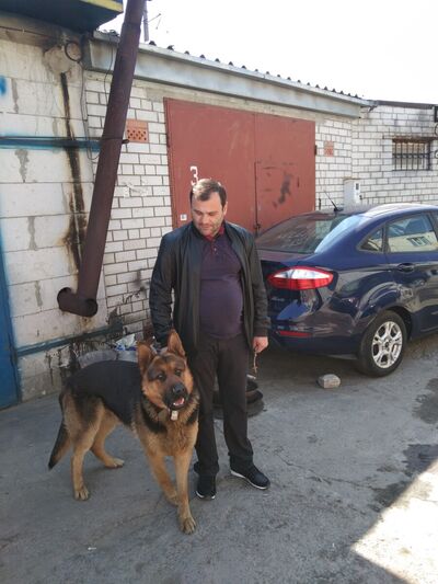  ,   Rein, 44 ,     , c 