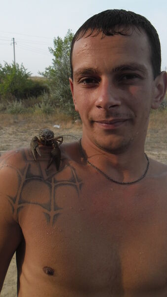  ,   , 34 ,   