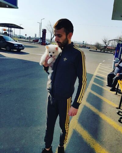  ,   Vardan, 32 ,   ,   