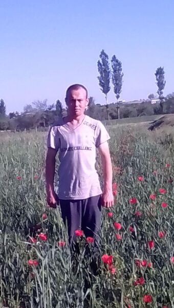  -,   , 21 ,   ,   