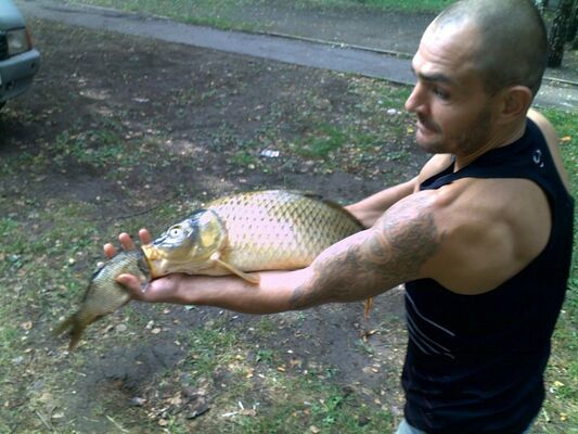   ,   , 46 ,   ,   , c , 