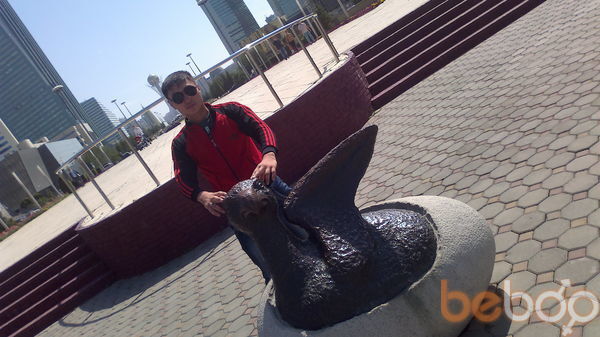  3889592  , 33 ,    