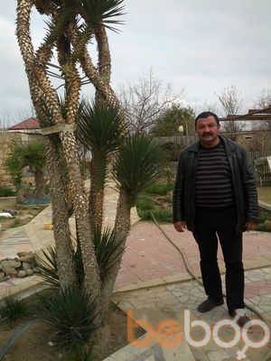  ,   Cavansir, 64 ,   
