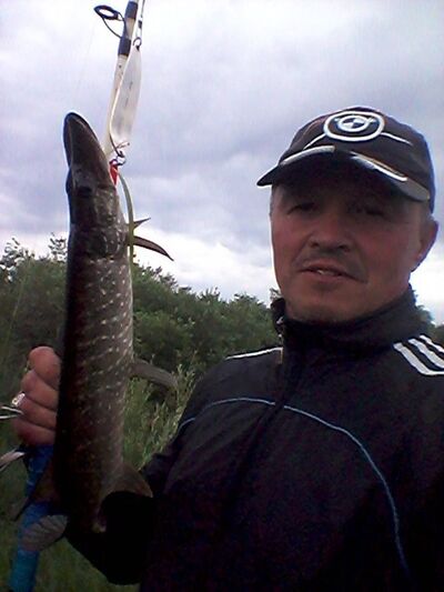  ,   , 54 ,   , 