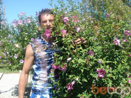 ���������� ����������, ���� ������� �����, 44 ����, ������������ ��� ������, ����� � ���������, c�������� ���������