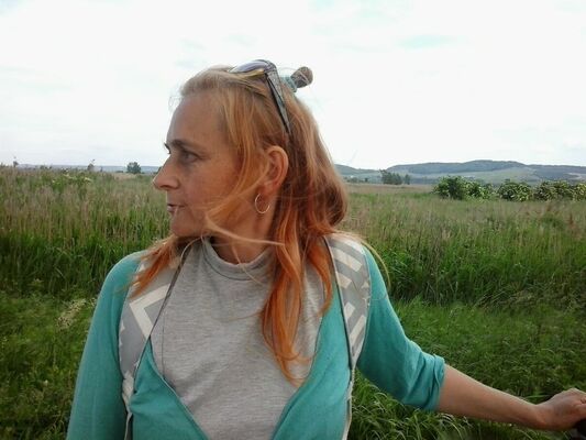  ,   , 54 ,     , c 