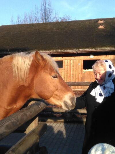   ,   , 63 ,   ,   , c 