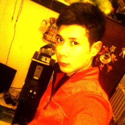  ,   Shohrux, 31 ,   ,   , c 