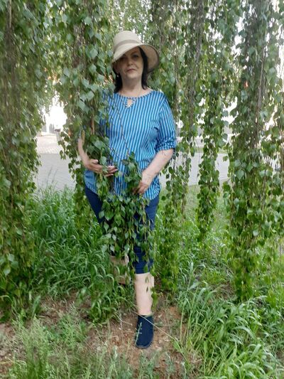  ,   , 68 ,   ,   
