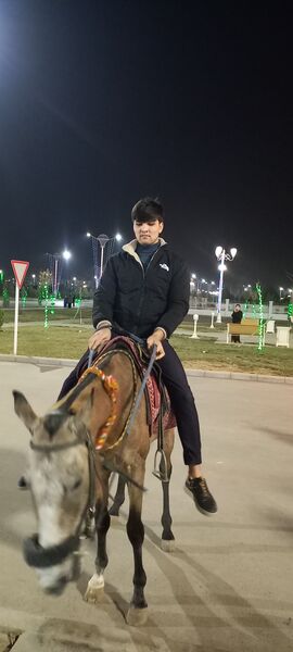  ,   , 23 ,   c 