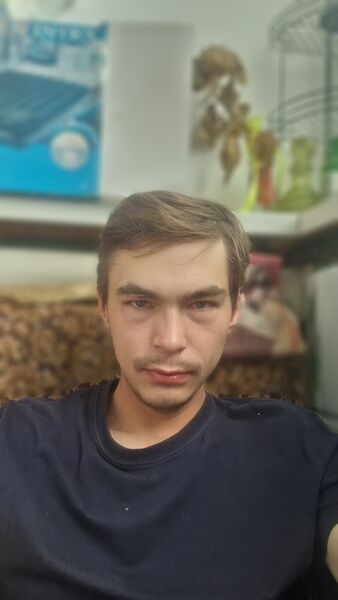  ,   Nikita, 27 ,   ,   , c , 