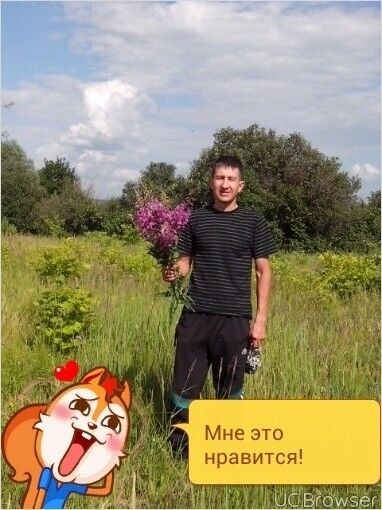   ,   , 44 ,   