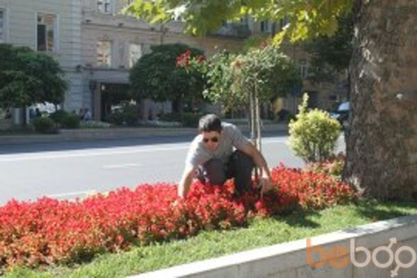  ,   Nokoli, 40 ,   