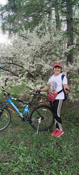  ,   Rima , 54 ,   ,   , c , 