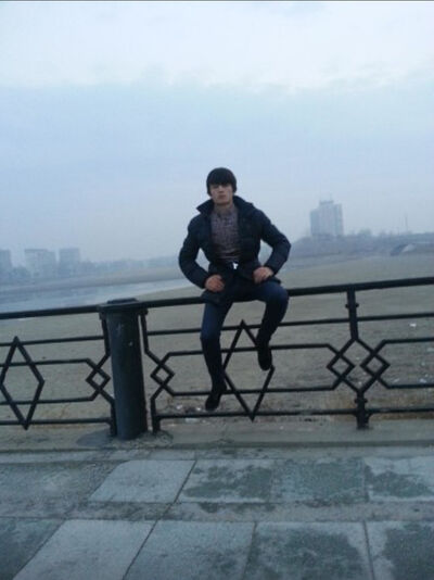  ,   Kobra, 31 ,   ,   , c 
