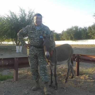  ,   , 48 ,   ,   , c , 