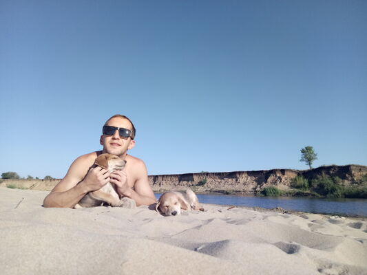  ,   Roman, 31 ,   ,   , c , 
