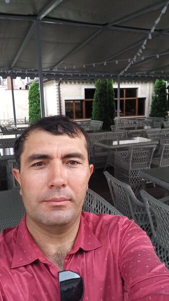  --,   , 41 ,   ,   