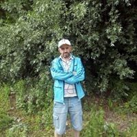  ,   , 53 ,   