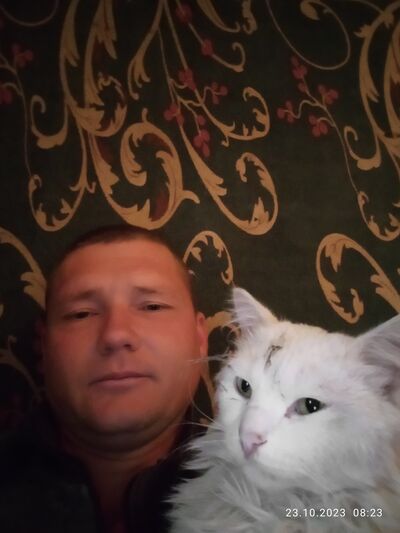  ,   , 38 ,   c 