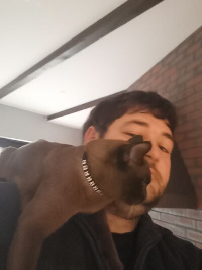  ,   , 33 ,   ,   