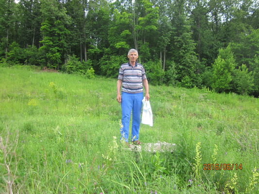  ,   Valera, 73 ,   ,   , c 