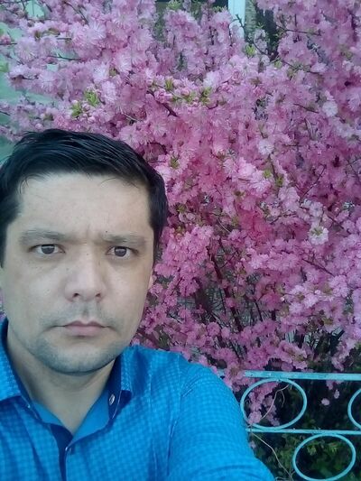  ,   , 41 ,  
