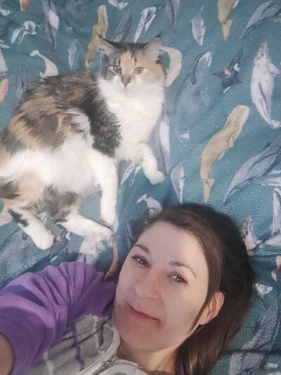  -,   , 41 ,   ,   