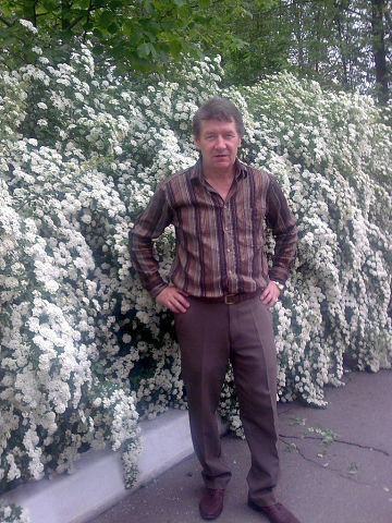  ,   , 71 ,   