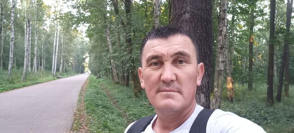  -,   , 45 ,   ,   