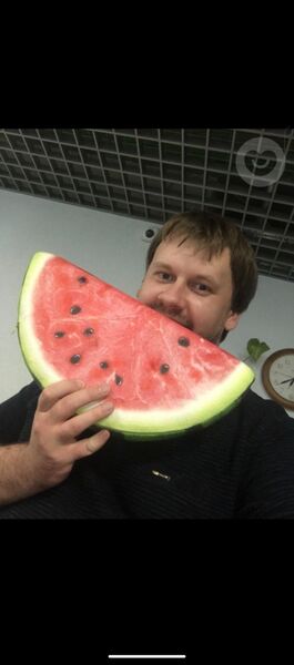  ,   Alexander, 37 ,   ,   , c , 
