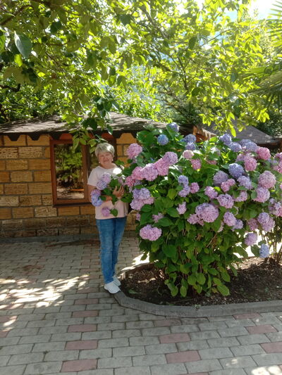  ,   , 59 ,   c 