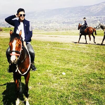  ,   Sultan, 27 ,  