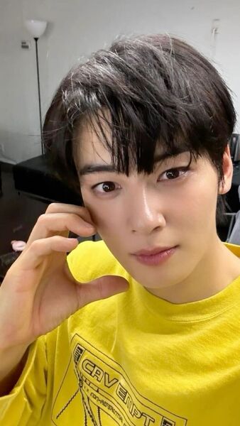  ,   Cha Eun woo, 34 ,   ,   