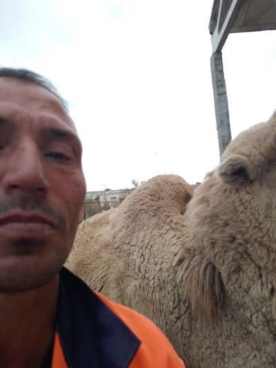  ,   , 47 ,   ,   