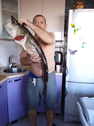  ,   , 42 ,     , c , 