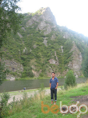  ,   , 43 ,     , c , 
