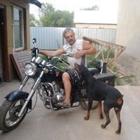  ,   , 67 ,   