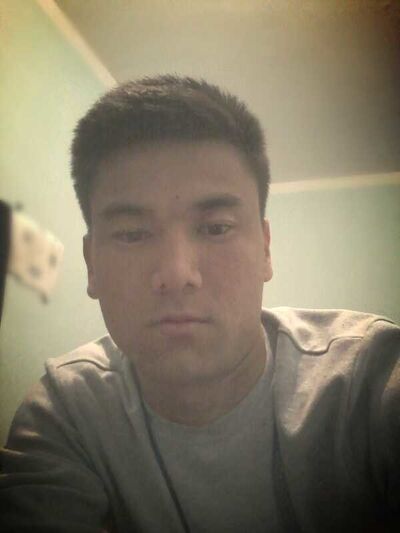  ,   Alisher, 31 ,     , c 