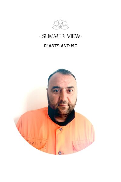  ,   , 43 ,   ,   