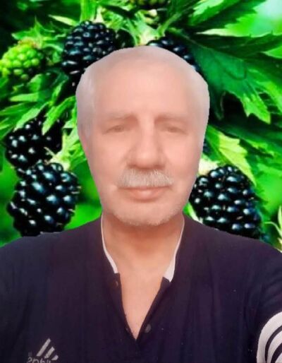  ,   , 72 ,     , c 