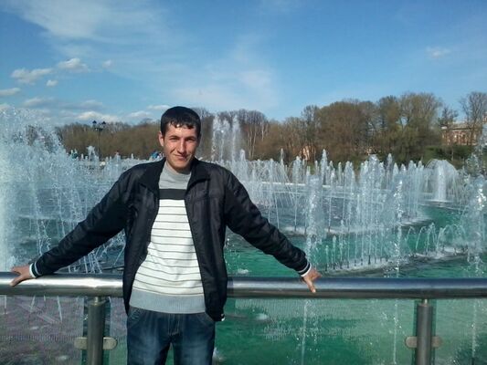  ,   MIQO, 37 ,   ,   , c 