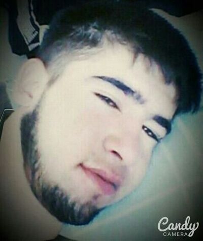  ,   Volk, 31 ,   