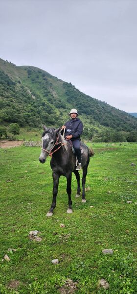  ,   Sayan, 37 ,   ,   