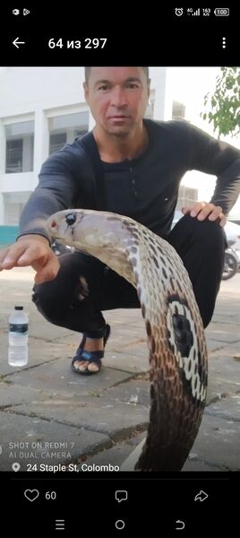  ,   ARTUR, 47 ,   c 